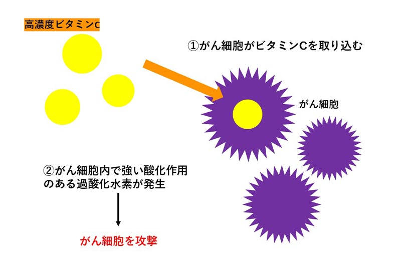 ビタミンCががん細胞に作用する仕組み